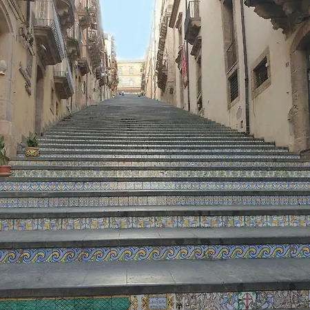 Sunny Days * بيدارا