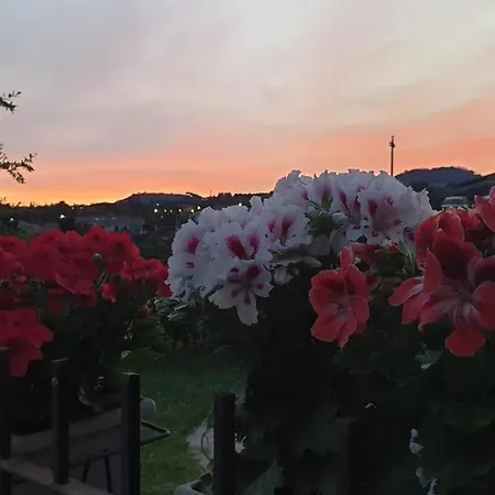 ホームステイ Sunny Days