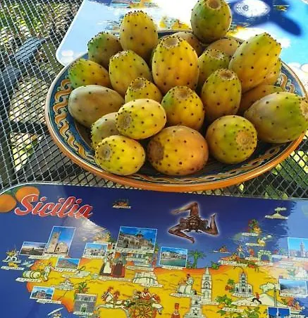 Sunny Days * Pedara