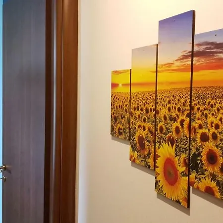 Accommodatie bij particulieren Sunny Days